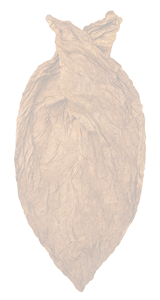 placeholder hand of tobacco