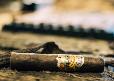 Maximus Cigar on Loose Wrapper Tobacco Leaf