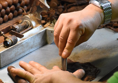 Two hands working on wrapper tobacco leaf using chaveta to cut