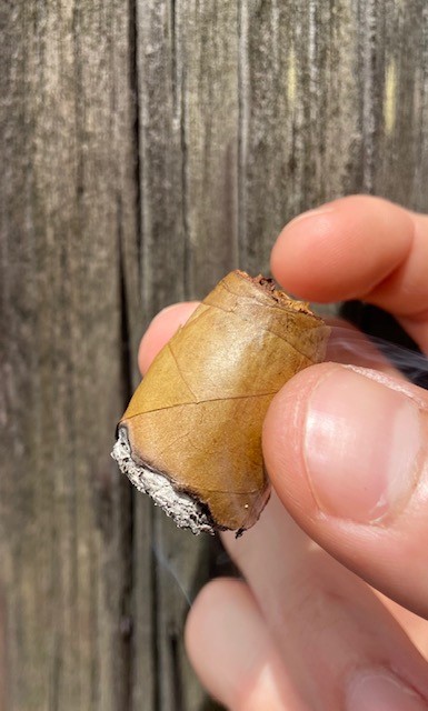BHCONNfinalthird nub of cigar