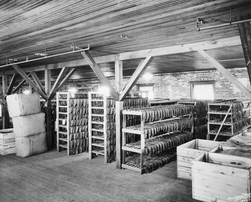 sanchez1 tobacco curing in tampa cigar factory