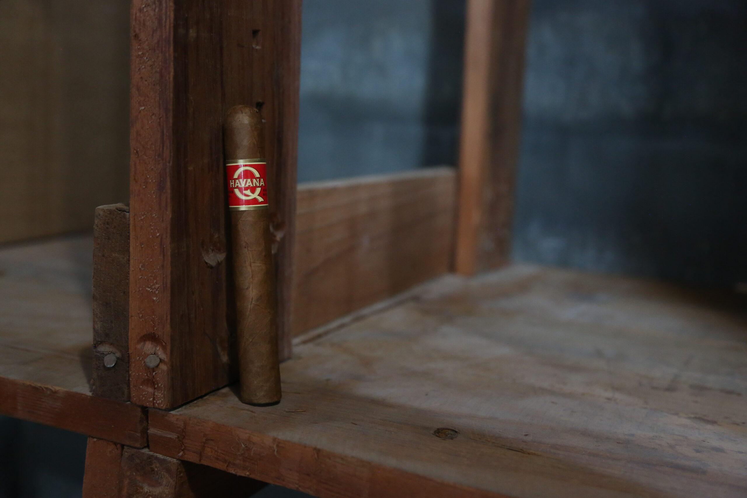6Z6A1368 havana q in cabinet
