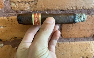 REVIEW: Yagua