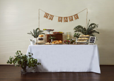 tampa baby shower