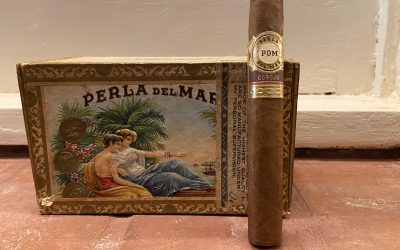 REVIEW: Perla Del Mar Corojo Review