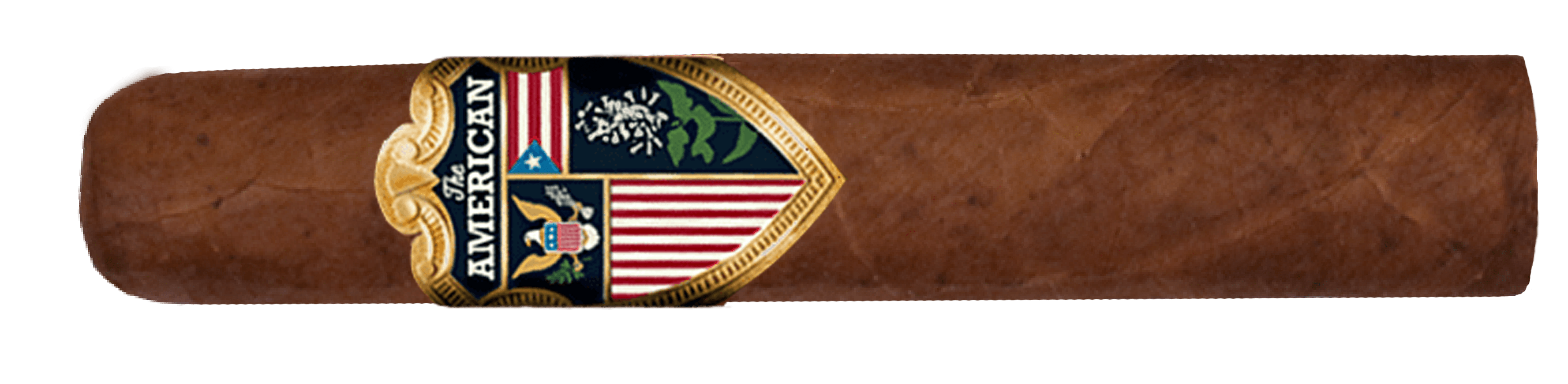 american robusto (2)