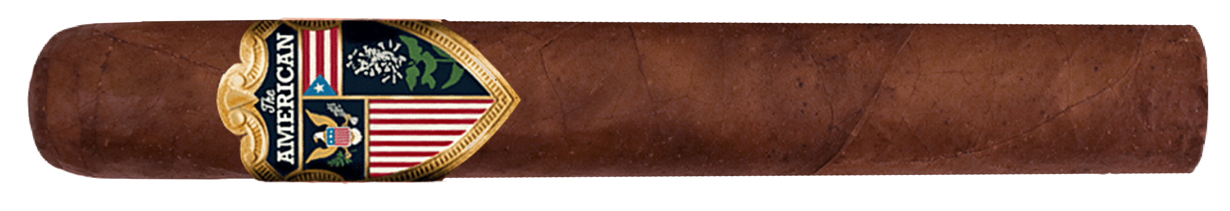 toro single (2)