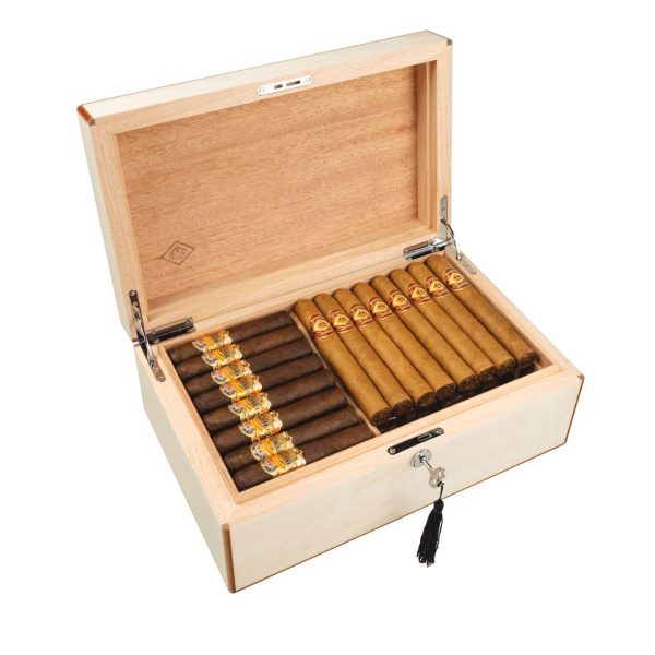 camden humidor