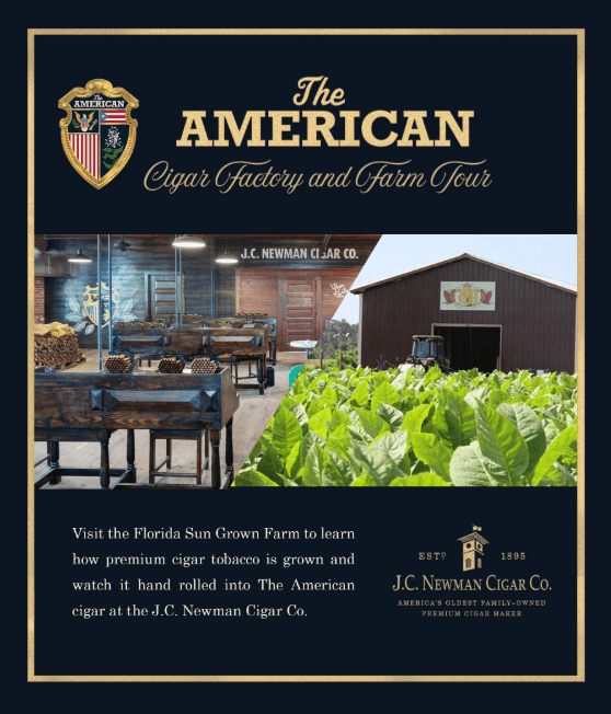 Screenshot 2025 10 20 114148